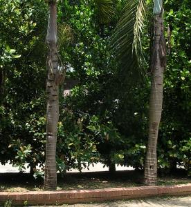 DSCN4901.jpg